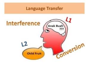 انتقال زبانی چیست؟